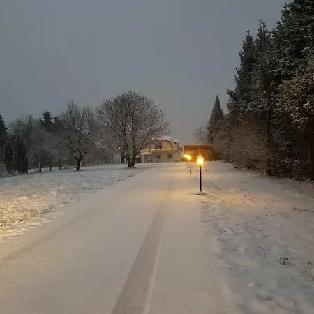 Gasthof Stein *
