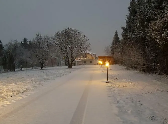 בית הארחה Gaestehaus Stein 3*